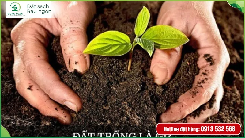 Hỗn hợp đất trộn chuyên dụng cho các loại cây cảnh và rau màu