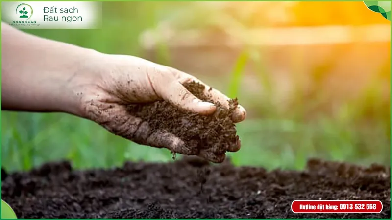 Cận cảnh cấu trúc đất trộn giàu mùn và độ tơi xốp