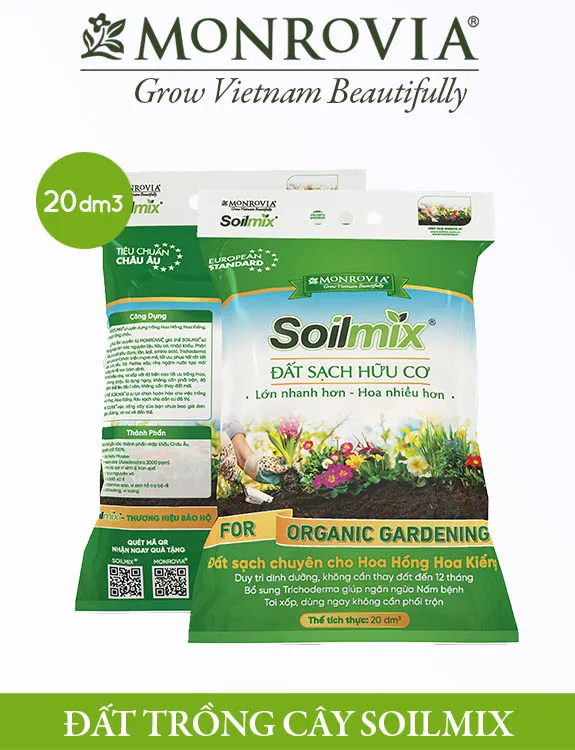 Giá thể đất sạch hữu cơ cung cấp đầy đủ dinh dưỡng cho cây phát tài