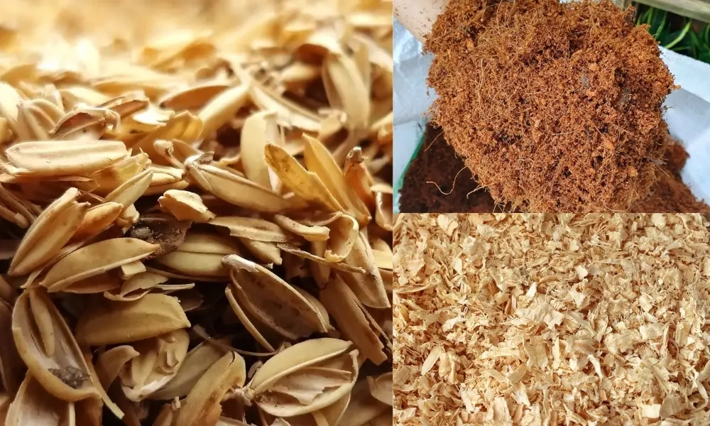 Phối hợp đất vườn với trấu, xơ dừa, mùn cưa giúp đất tơi xốp, giàu dinh dưỡng