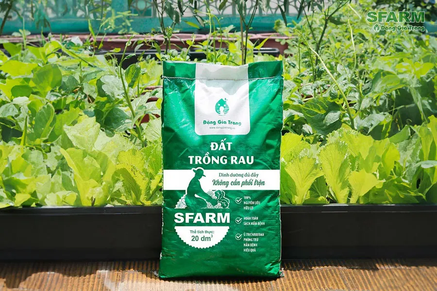Đất trồng rau SFARM thích hợp cho các loại rau ăn lá, rau ăn củ/quả