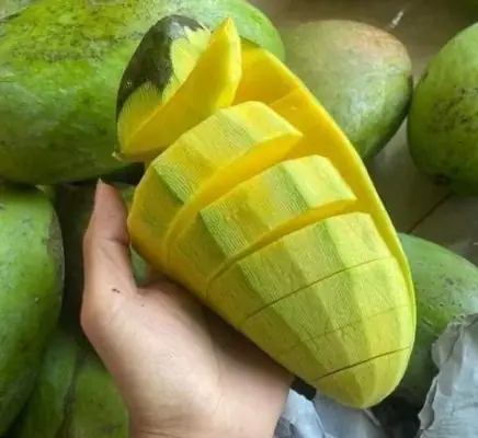 Đâu Không Phải Là Cách Tăng Năng Suất Cây Trồng Hiệu Quả