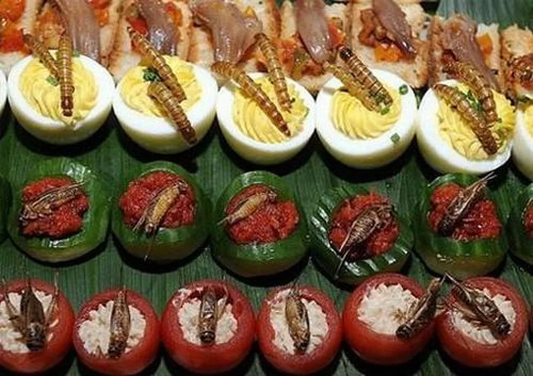 dế mèn rang tóp mỡ tại quán côn trùng ở hà nội