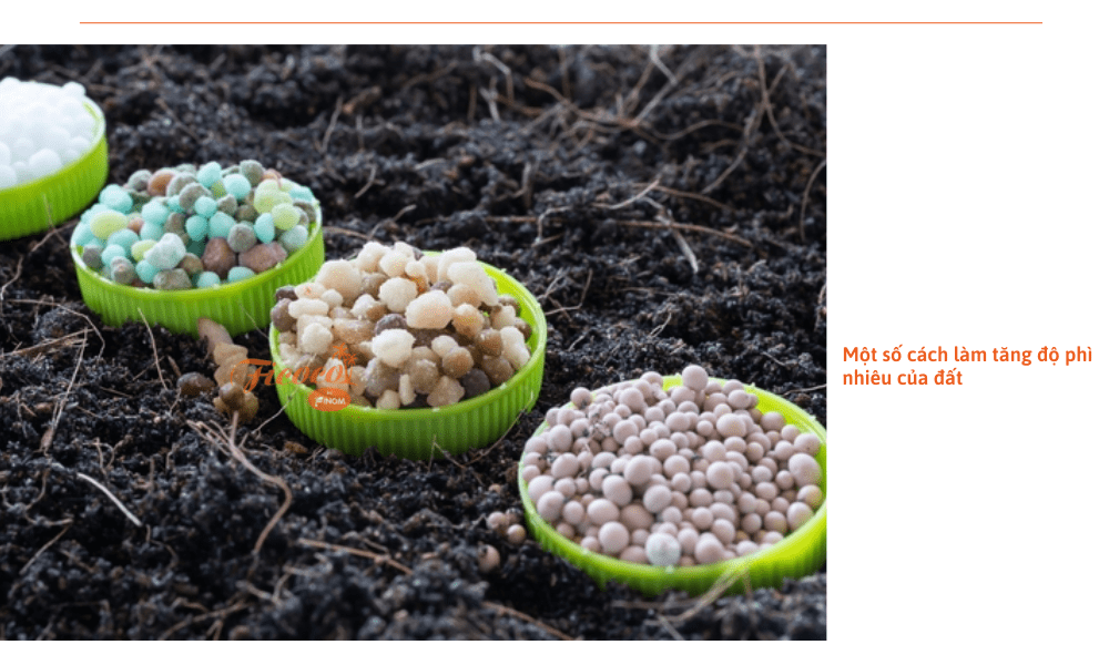 de-tang-do-phi-nhieu-cua-dat-chung-ta-can