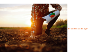 Để tăng độ phì nhiêu của đất chúng ta cần thực hiện biện pháp gì? Giải đáp thắc mắc