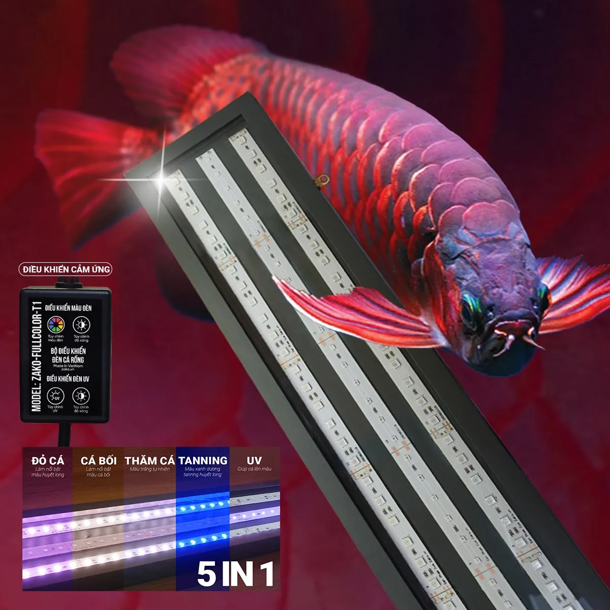 đèn led cá rồng chuyên dụng