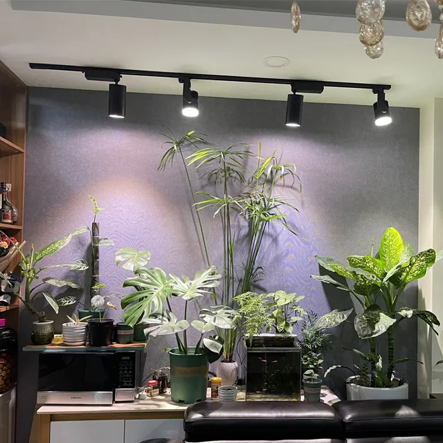 kệ trồng cây hoàn toàn trong nhà