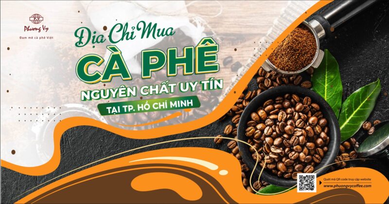 Mua Đất Trồng Cây Ở Đâu Tại TPHCM: Hướng Dẫn Chi Tiết Từ Chuyên Gia