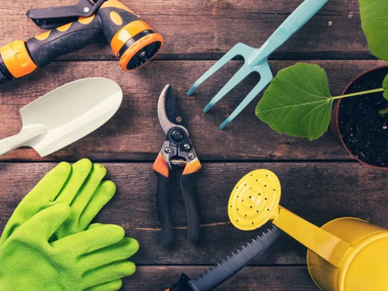 Đối tượng phù hợp với dịch vụ chăm cây