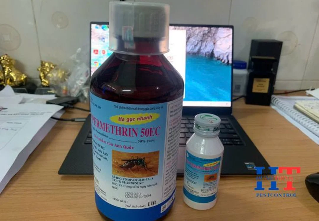 dịch vụ diệt côn trùng bình dương phun xử lý nhà ở