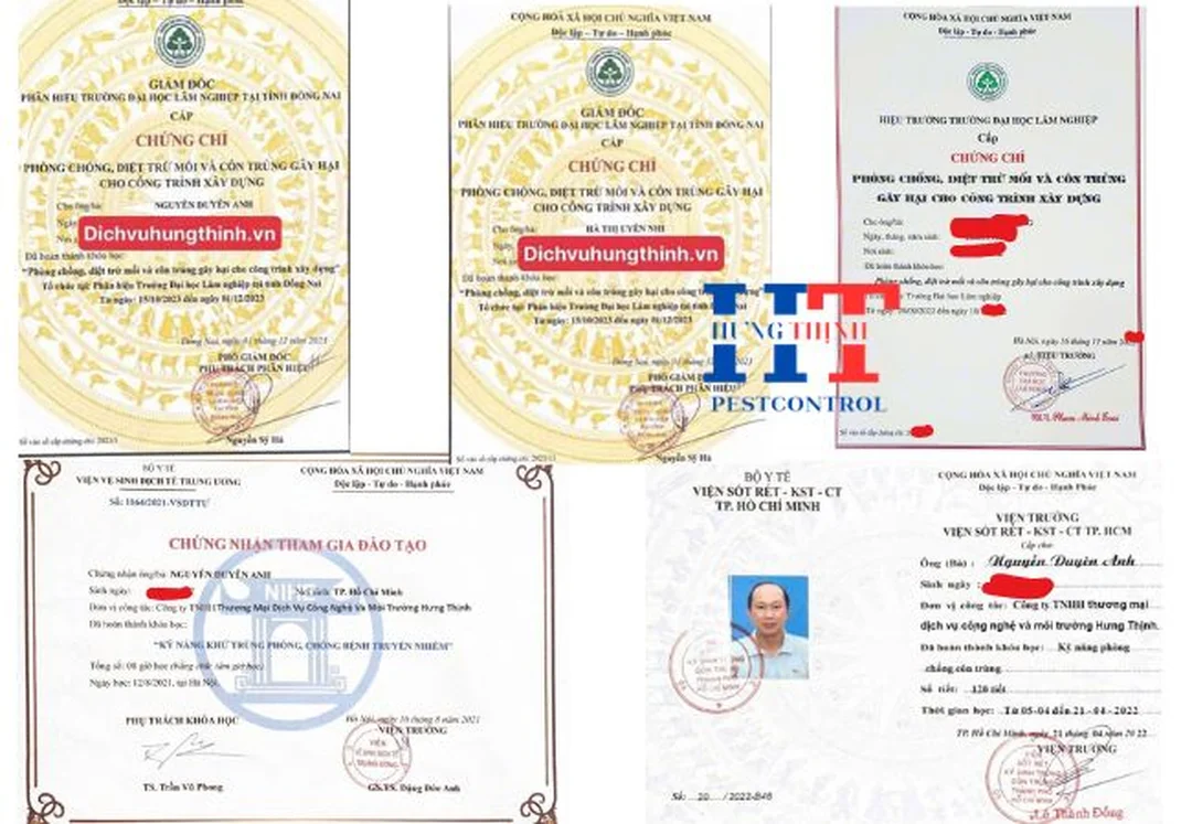 dịch vụ diệt côn trùng bình dương quy trình xử lý thực tế