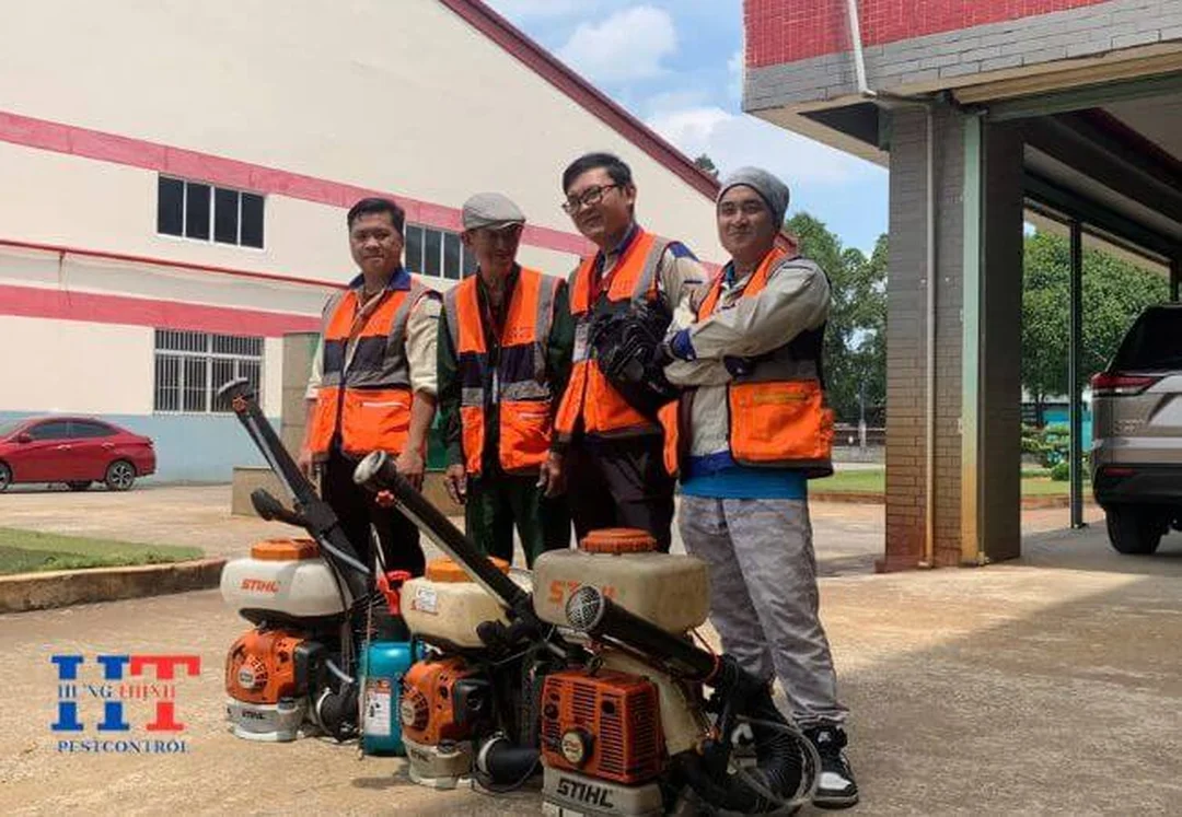 dịch vụ diệt côn trùng bình dương xử lý gián muỗi mối chuột