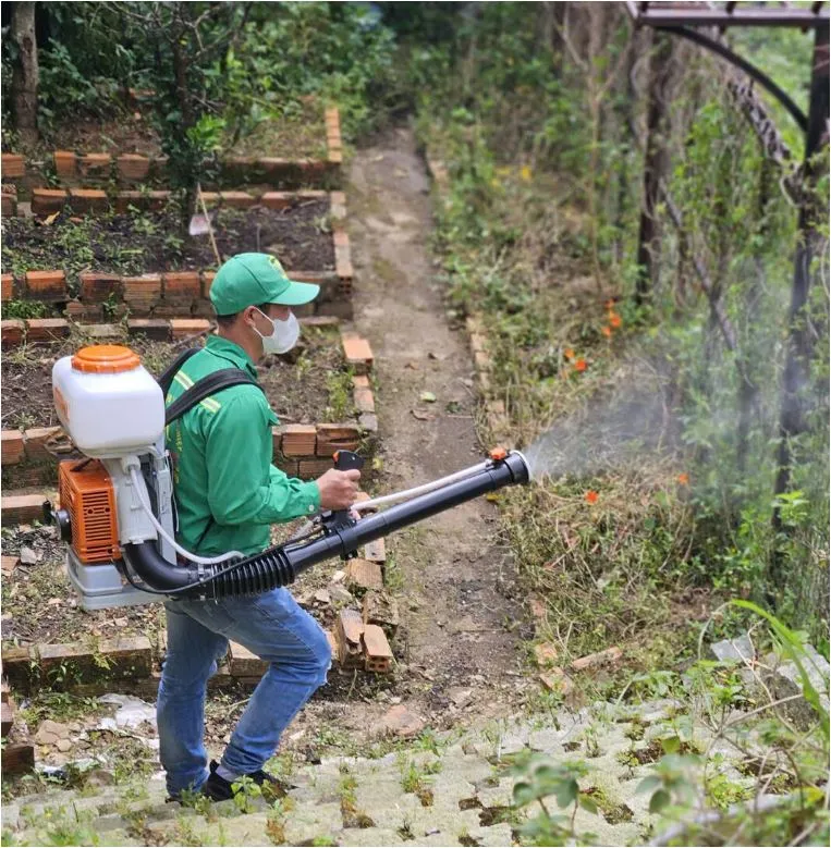 Dịch vụ diệt côn trùng tại Đà Lạt chuyên nghiệp