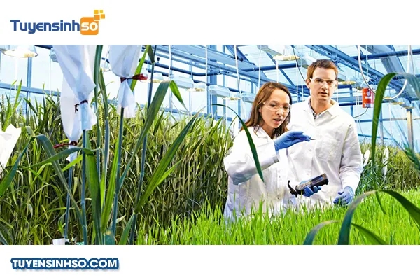 Điểm chuẩn ngành Khoa học cây trồng