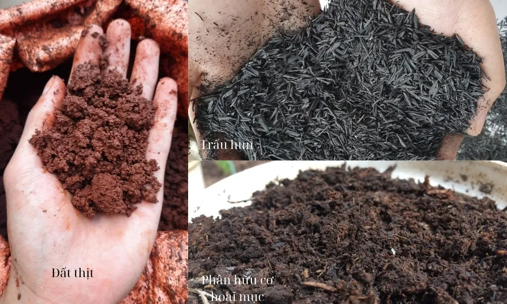 Tỷ lệ phối trộn đất trồng cây trên sân thượng đạt chuẩn dinh dưỡng