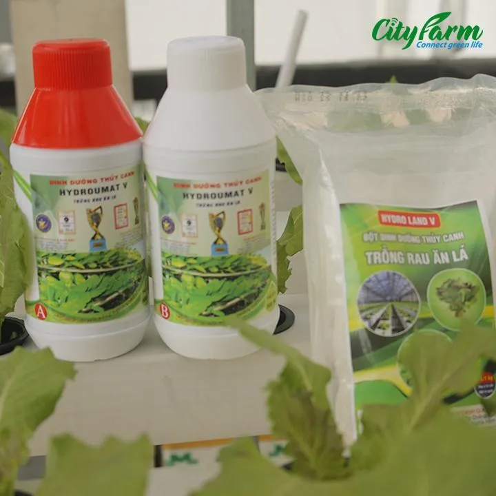 Dung dịch thủy canh rau ăn lá