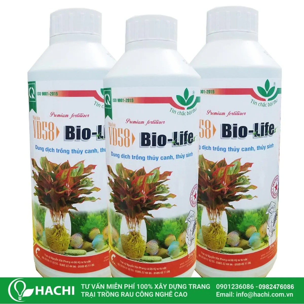 Dung dịch trồng cây kim tiền thủy canh