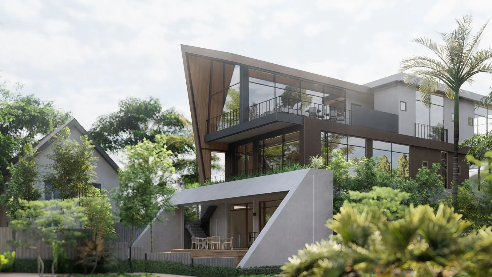 Cây hoa giấy rực rỡ