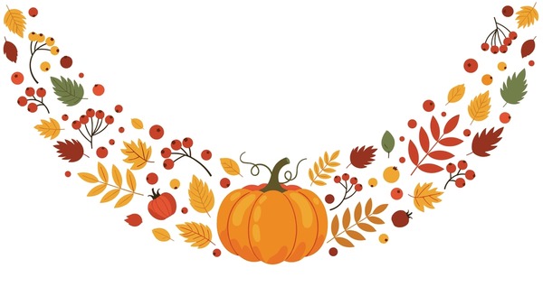 Bí Quyết Chọn và Bố Trí Chậu Cây Cảnh Trong Nhà Đẹp Hợp Phong Thủy