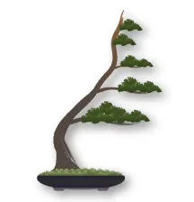 Bonsai thế xuy phong (Fukinagashi)