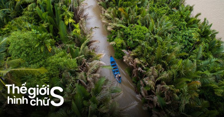 Khám Phá Vườn Trái Cây Chợ Lách Bến Tre: Điểm Hẹn Của Miệt Vườn Xanh Mát