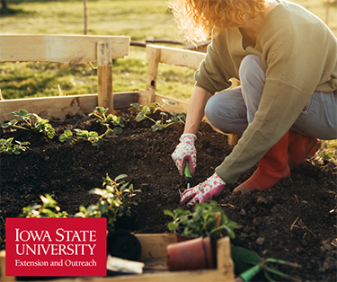 Hướng Dẫn Chi Tiết Cách Chăm Sóc Cây Hương Thảo Tại Nhà Cho Người Mới Bắt Đầu