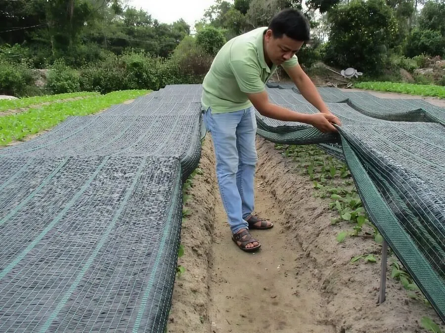 giá lưới che nắng trồng rau