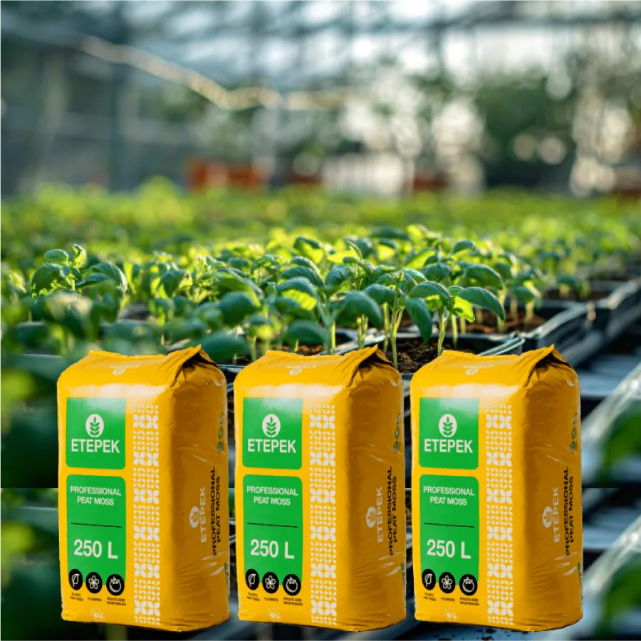 Giá thể gieo hạt Peatmoss Etepek là người bạn đồng hành tin cậy của nhà nông