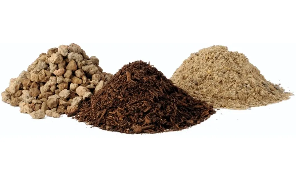 Top 13 loại giá thể trồng cây cảnh phổ biến