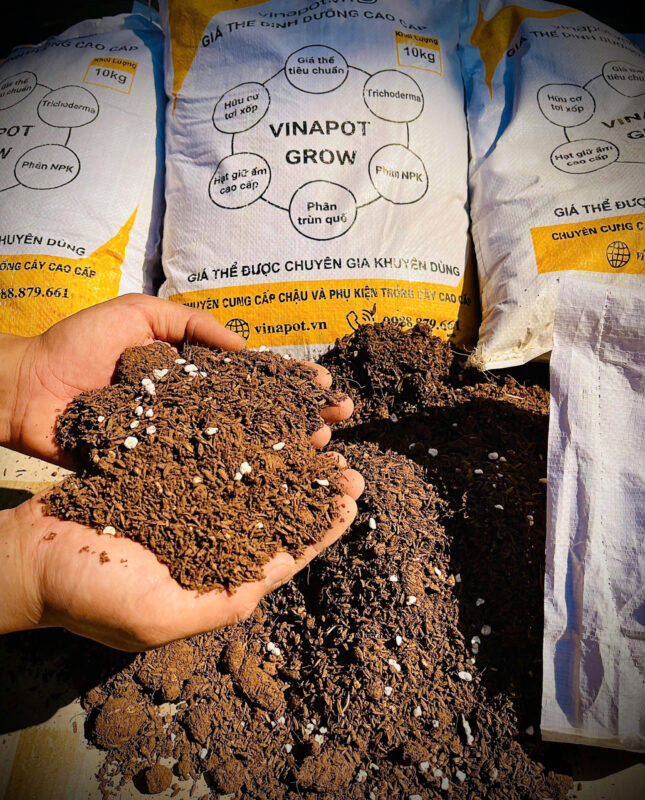 Giá Thể Trồng Mai: Bí Quyết Phối Trộn Và Xử Lý Đất Giúp Cây Phát Triển Toàn Diện