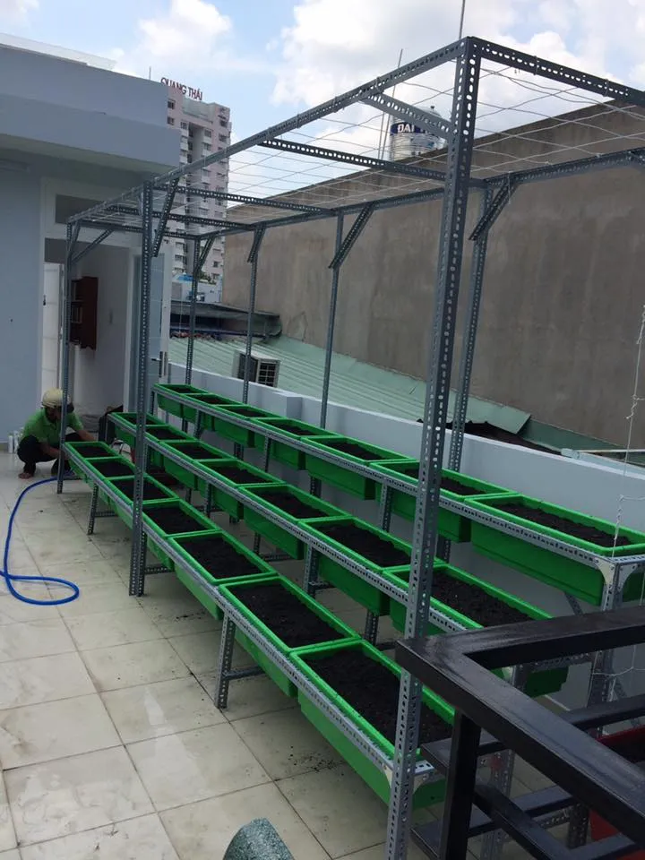 Hệ thống giàn rau được thi công bởi Quang Anh HCM