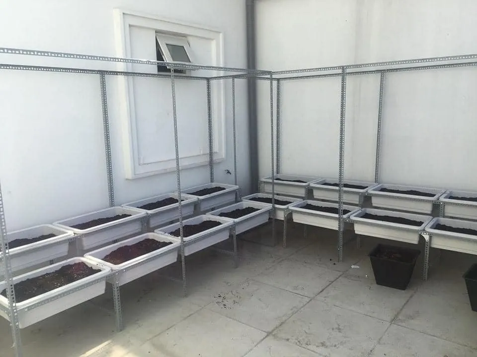 Mẫu giá đỡ chậu rau giá rẻ nhưng hiệu quả cao