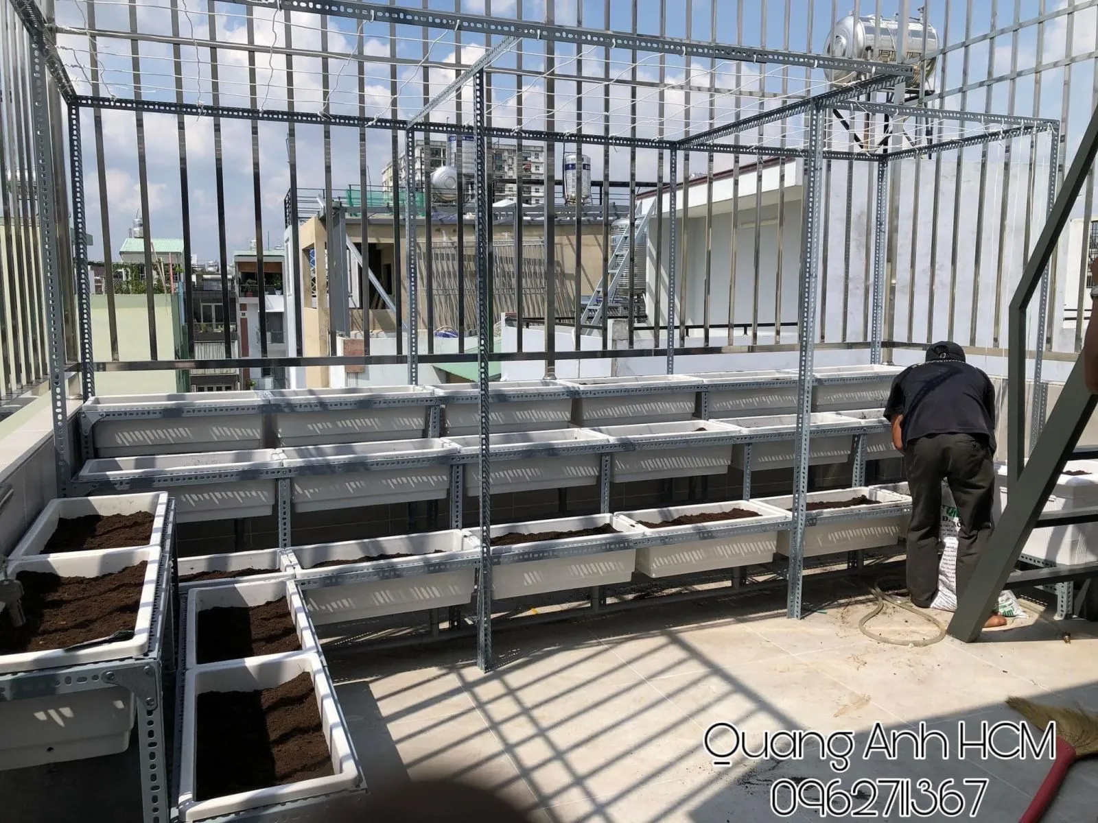 Cây rau ăn lá phát triển đồng đều trên hệ thống kệ nhiều tầng