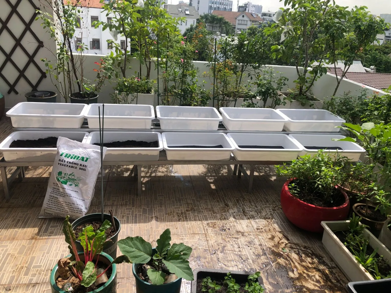 Kệ trồng rau sắt hộp sang trọng cho nhà phố