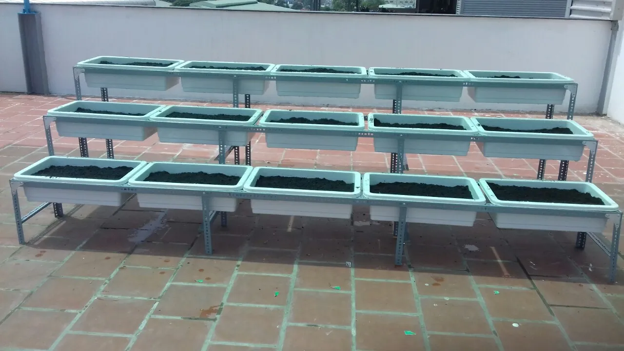 Mẫu giàn trồng rau sạch tại nhà 3 tầng đơn giản