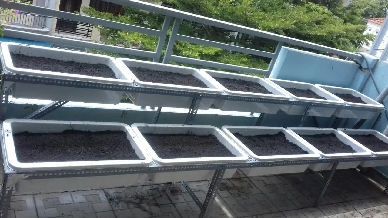 Thực tế thi công giàn rau tại TP.HCM mùa khô 2026