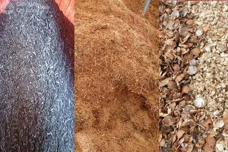 Vỏ lạc là giá thể giàu đạm và thông thoáng giúp lan phát triển bền vững