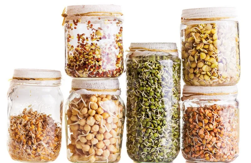 Tìm hiểu về các loại hạt giống rau mầm