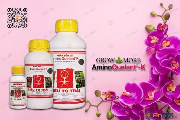 Phân bón lá Aminoquelant-K cung cấp Kali nồng độ cao cho cây trồng