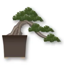 Bonsai thế bán thác đổ/dáng bay (Han-kengai)