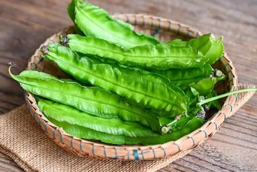 Đậu rồng có hàm lượng dinh dưỡng cao và dễ trồng