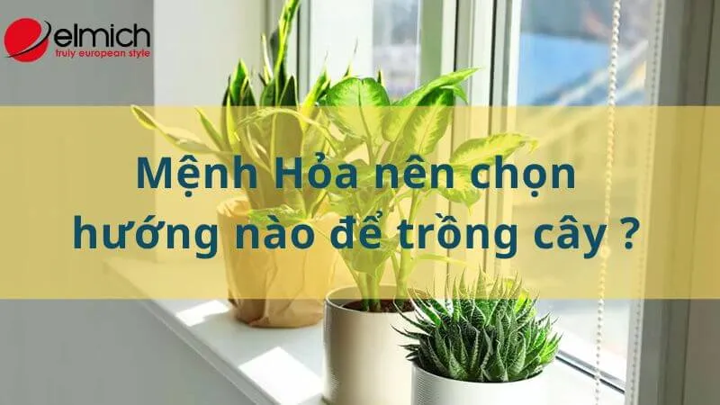 HÌnh 14: Sơ đồ hướng đặt cây mang lại sự ổn định và thịnh vượng