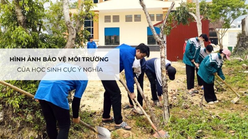 Ý Nghĩa Của Việc Trồng Cây Xanh Đối Với Môi Trường Và Sức Khỏe