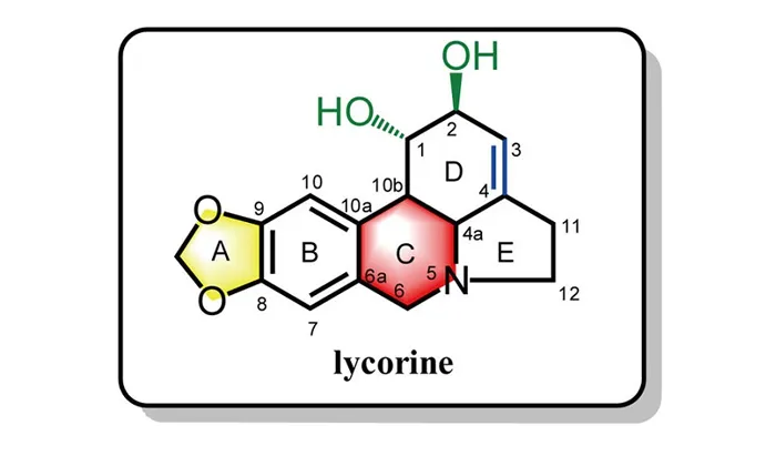 Sơ đồ minh họa các thành phần hóa học trong náng hoa trắng