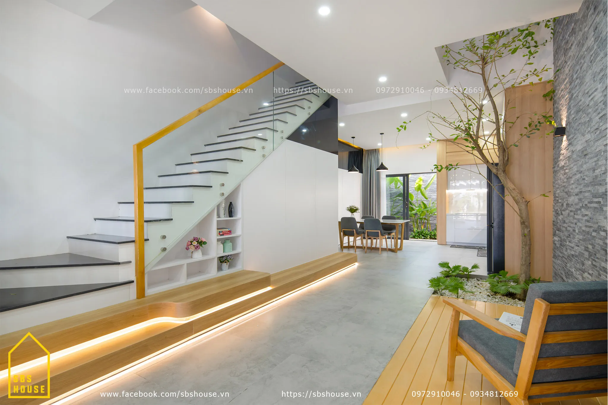 Ánh sáng tự nhiên là yếu tố quan trọng nhất giúp cây duy trì màu sắc tươi tắn