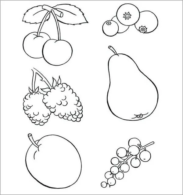 Bộ sưu tập nhiều loại trái cây sinh động giúp bé làm quen với thế giới tự nhiên