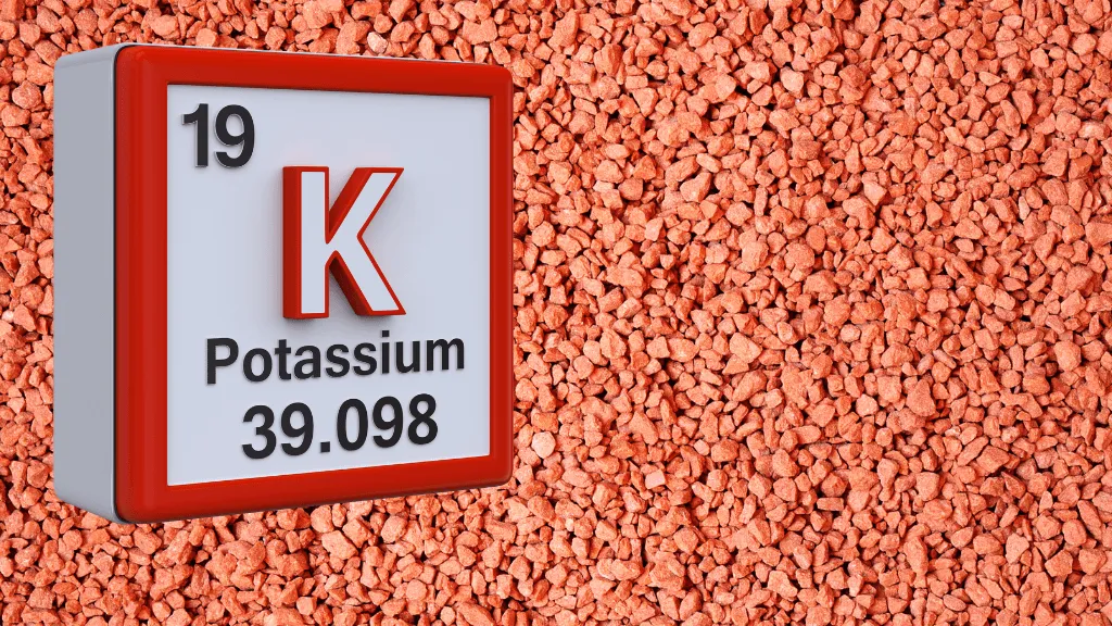 Phân kali sulfate dạng tinh thể, tan chậm hơn kali clorua nhưng an toàn cho đất