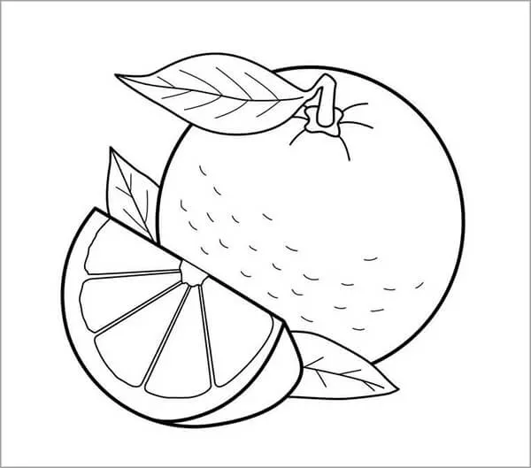 Hình quả cam tròn trịa với các múi rõ ràng là lựa chọn tuyệt vời cho bé tập tô