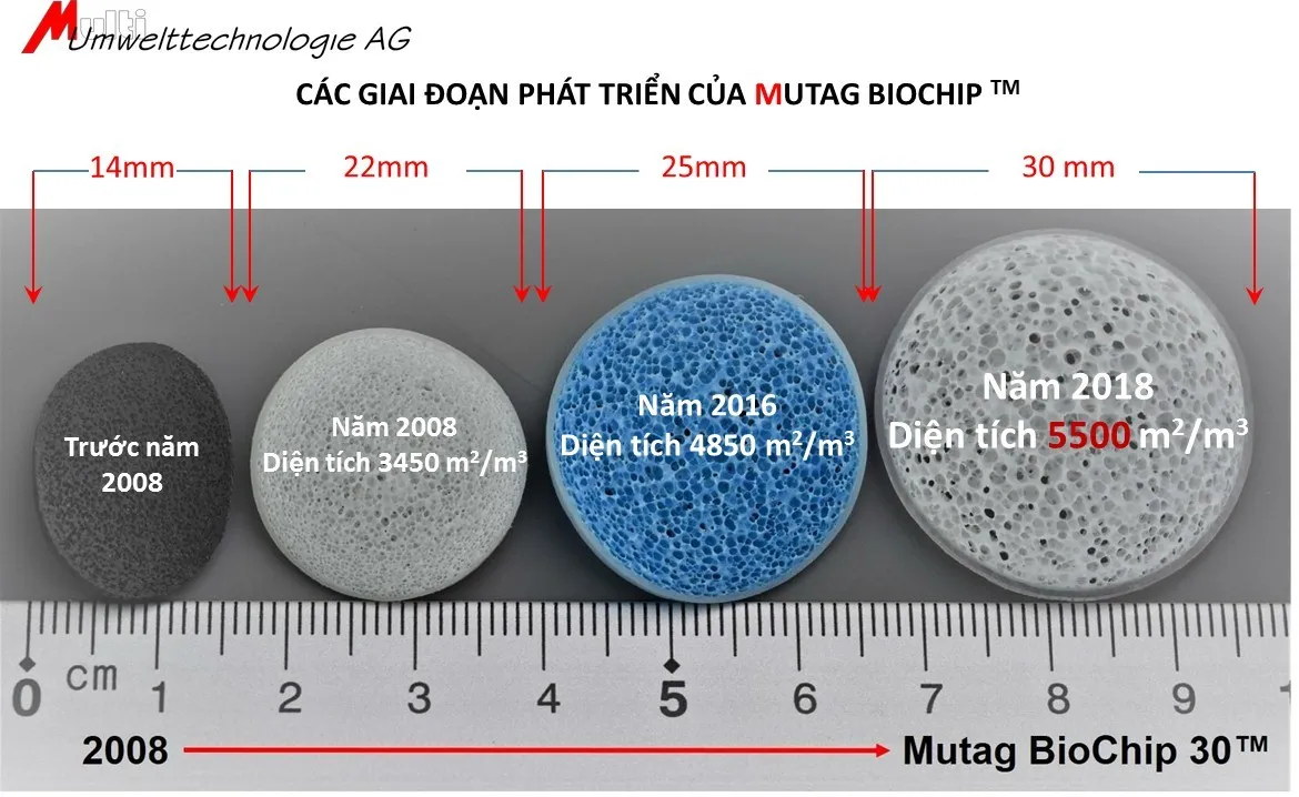 Các mốc thời gian phát triển và cải tiến của giá thể Mutag Biochip