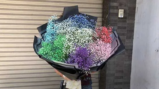 Hoa baby xanh lá cây - Bảy sắc cầu vồng